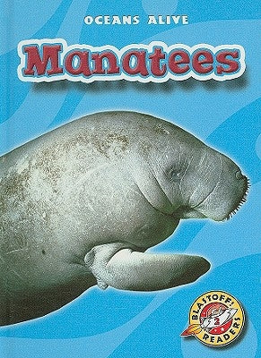 Manatees by Herriges, Ann