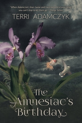 The Amnesiac's Birthday by Adamczyk, Terri