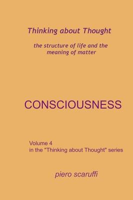 Thinking about Thought 4 - Consciousness by Scaruffi, Piero
