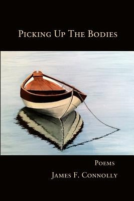 Picking Up The Bodies by Connolly, James F.