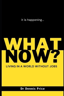 What Now?: Living in a world without jobs by Price, Dennis