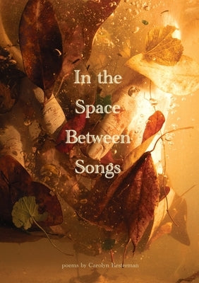 In the Space Between Songs by Kesterman, Carolyn