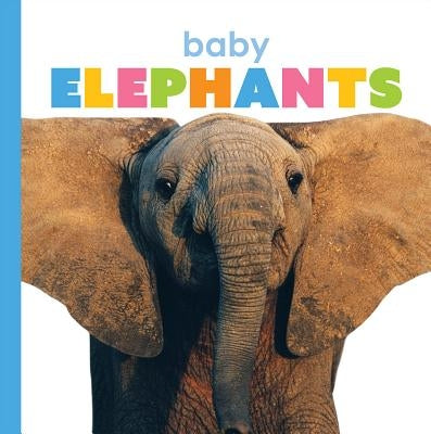Baby Elephants by Riggs, Kate