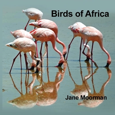 Birds of Africa by Moorman, Jane