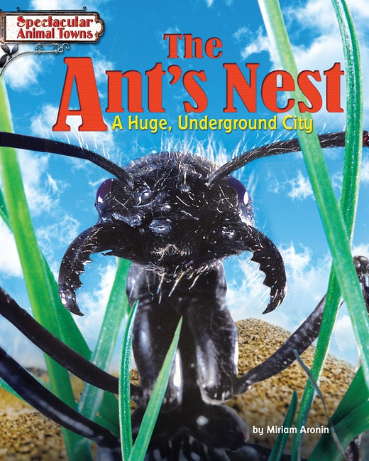 The Ant's Nest: A Huge, Underground City by Aronin, Miriam