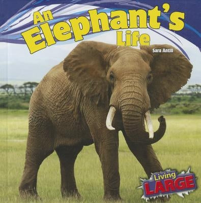An Elephant's Life by Antill, Sara