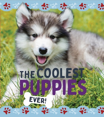 The Coolest Puppies by Dickmann, Nancy