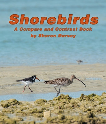 Shorebirds: A Compare and Contrast Book by Dorsey, Sharon