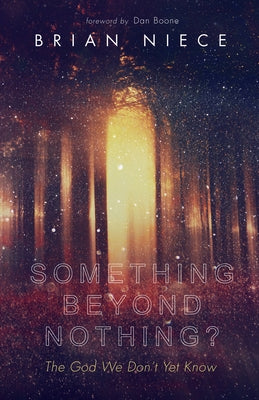 Something Beyond Nothing?: The God We Don't Yet Know by Niece, Brian