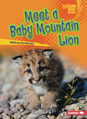 Meet a Baby Mountain Lion by Sanderson, Whitney