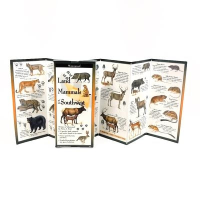 Land Mammals of the Southwest by Reid, Fiona