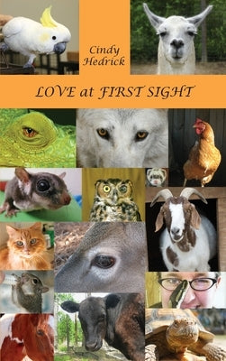 Love at First Sight by Hedrick, Cindy