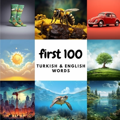 First 100 Turkish & English Words by Heidary, Ali
