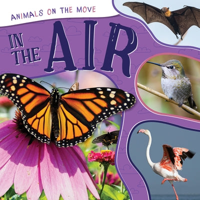 In the Air by Nodes, Eliza