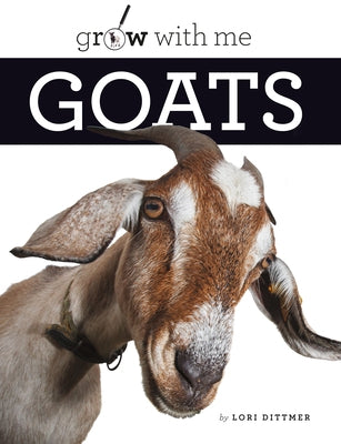 Goats by Dittmer, Lori