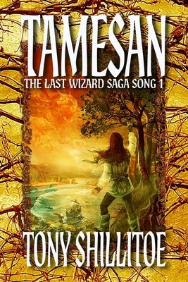 Tamesan: The Last Wizard Saga Song 1 by Shillitoe, Tony
