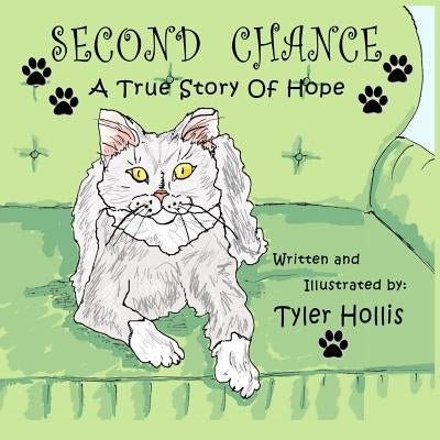 Second Chance: A True Story of Hope by Hollis, Tyler