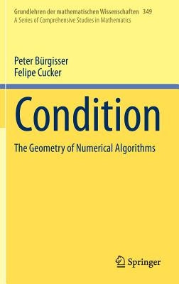 Condition: The Geometry of Numerical Algorithms by Bürgisser, Peter
