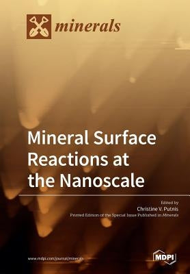 Mineral Surface Reactions at the Nanoscale by Putnis, Christine V.