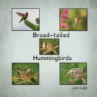 Broad-tailed Hummingbirds by Lake, Lois
