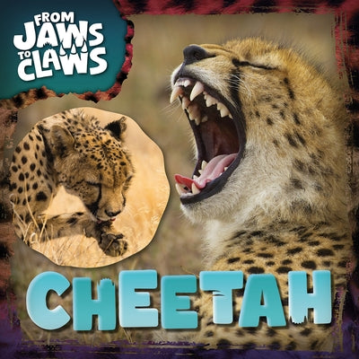 Cheetah by Nodes, Eliza