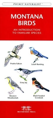 Weather: A Folding Pocket Guide to Clouds, Storms and Weather Patterns by Kavanagh, James