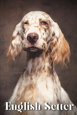 English Setter: Dog breed overview and guide by Pustova, Nina