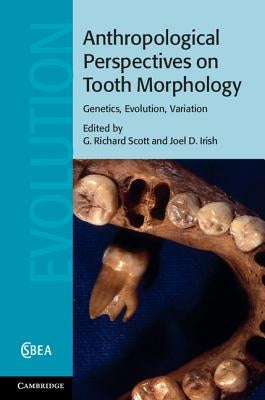 Anthropological Perspectives on Tooth Morphology by Scott, G. Richard