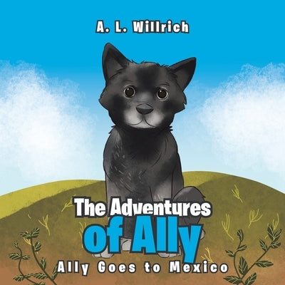 The Adventures of Ally: Ally Goes to Mexico by Willrich, A. L.