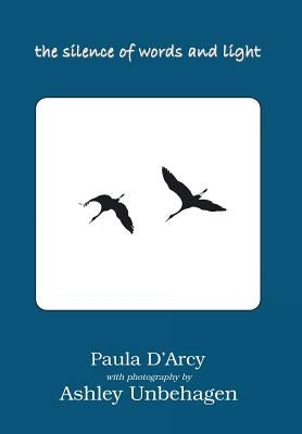The Silence of Words and Light by D'Arcy, Paula