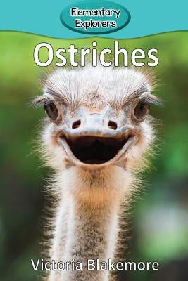Ostriches by Blakemore, Victoria