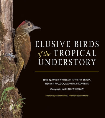 Elusive Birds of the Tropical Understory by Whitelaw, John P.