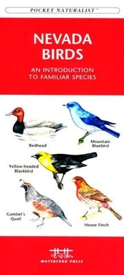 New Jersey Birds: A Folding Pocket Guide to Familiar Species by Kavanagh, James