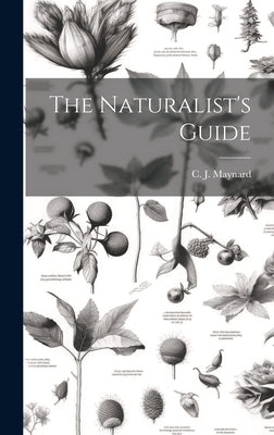 The Naturalist's Guide by Maynard, C. J.