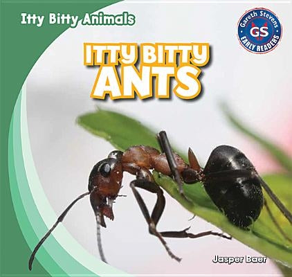 Itty Bitty Ants by Baer, Jasper