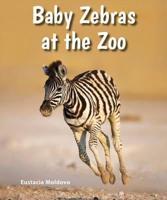 Baby Zebras at the Zoo by Moldovo, Eustacia