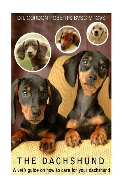 The Dachshund: A vet's guide on how to care for your Dachshund by Roberts Bvsc Mrcvs, Gordon