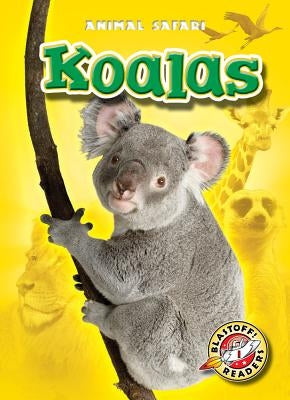 Koalas by Schuetz, Kari