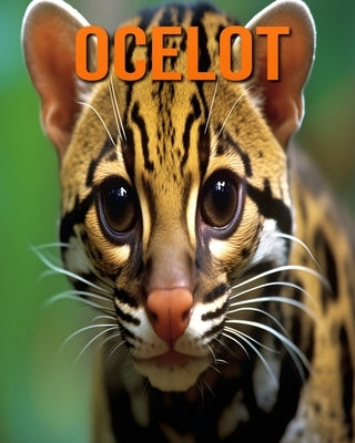 Ocelot: Fun and Fascinating Facts and Pictures About Ocelot by Hawthorn, Raine
