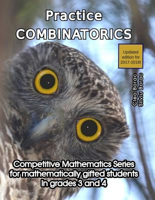 Practice Combinatorics: Level 2 (ages 9 to 11) by Borac, Silviu