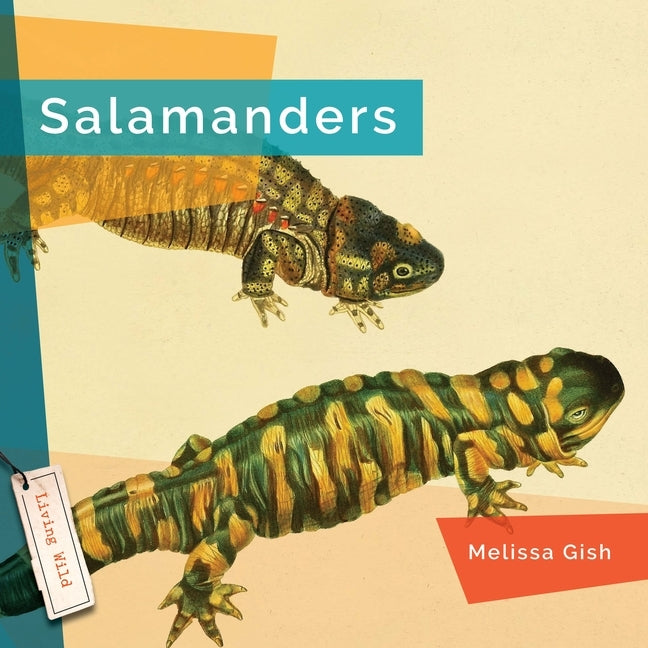 Salamanders by Gish, Melissa