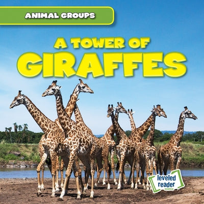 A Tower of Giraffes by Lynch, Seth