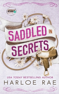 Saddled in Secrets: A protective bodyguard small town standalone romance by Rae, Harloe