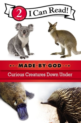 Curious Creatures Down Under: Level 2 by Zondervan