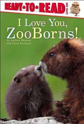 I Love You, Zooborns!: Ready-To-Read Level 1 by Bleiman, Andrew