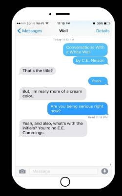 Conversations With a White Wall by Nelson, C. E.