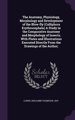 The Anatomy, Physiology, Morphology and Development of the Blow-fly (Calliphora Erythrocephala) A Study in the Comparative Anatomy and Morphology of I by Lowne, Benjamin Thompson