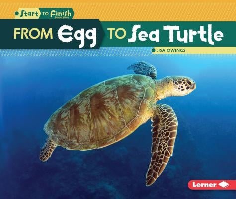 From Egg to Sea Turtle by Owings, Lisa