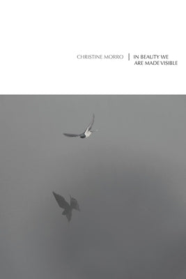 In Beauty We Are Made Visible by Morro, Christine