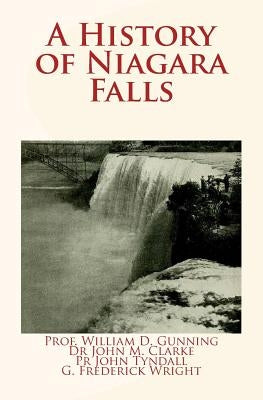 A History of Niagara Falls by Tyndall, John